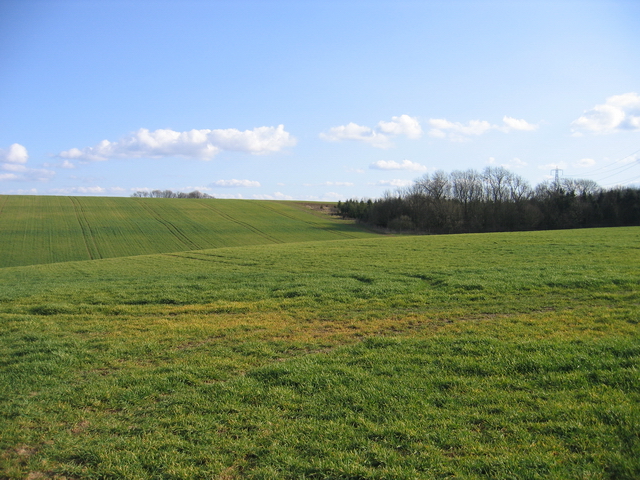 Farmland from Counthorpe road