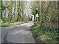 Road through Walderchain Woods