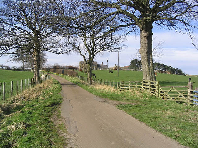 The road to Wooden Farm