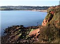 SX8957 : Red Sandstone Cliff, south of Saltern Cove by Tom Jolliffe
