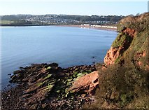 SX8957 : Red Sandstone Cliff, south of Saltern Cove by Tom Jolliffe