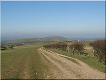 TQ3013 : South Downs Way towards Jack&Jill Windmills by Dave Spicer