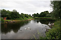 River Leven Alexandria