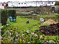 Allotments, Barnfield Close, Swindon