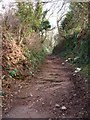 Public Footpath, Chisledon Hill, Higher Brixham