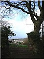 Gate near Yards Lane, Brixham