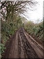 Muddy Lane, Southdown Hill,  Higher Brixham