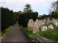 Tombstones, St Mary the Virgin, Higher Brixham