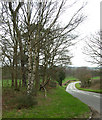 The Road to Highgate Common