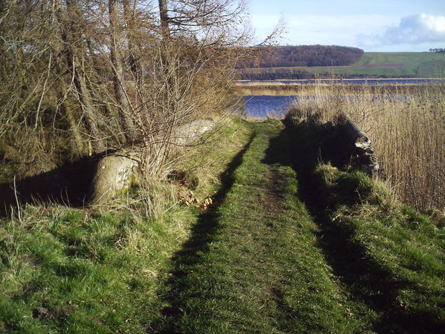 Port Allen, Tay © Dr Duncan cc-by-sa/2.0 Geograph Britain and Ireland