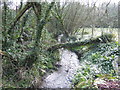 Fast-flowing brook