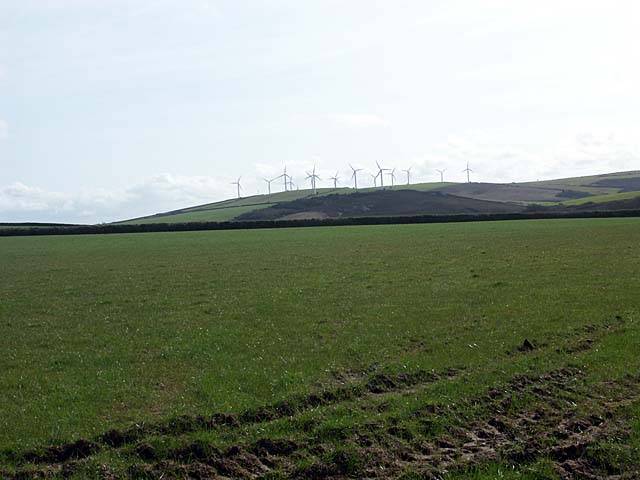 A grass field with Carland Cross Wind Farm on the skyline.