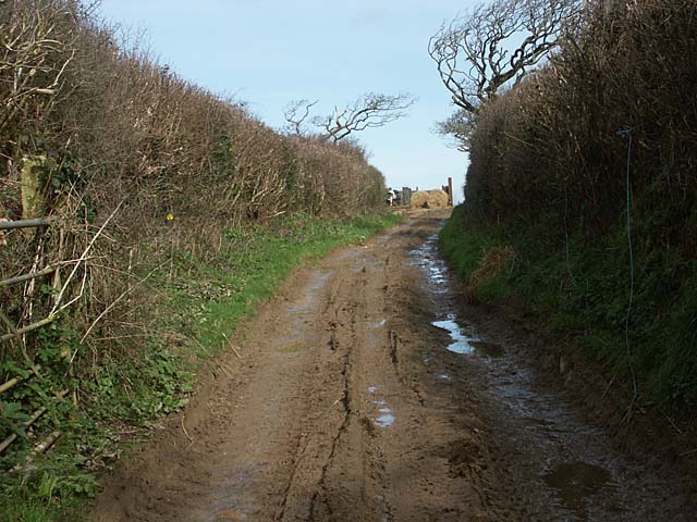 A muddy lane