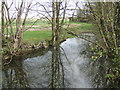 Pond opposite Trelanvean