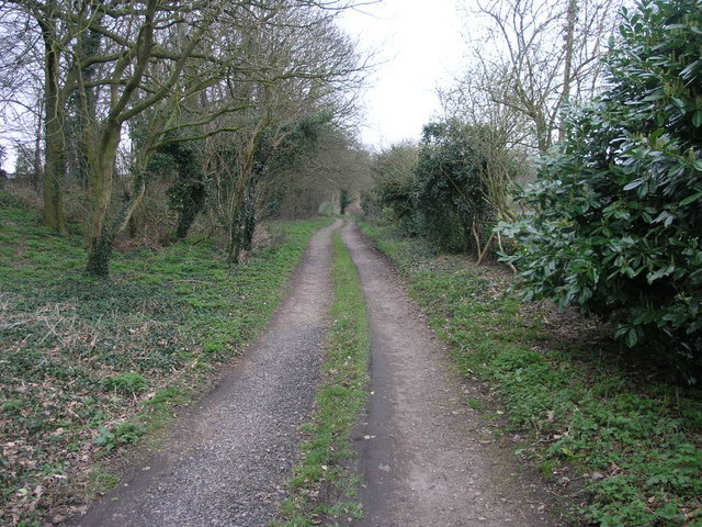 Bridleway to Alder Moor