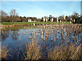 Monken Hadley Common