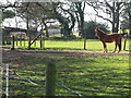 Rural Scene near Bearwood