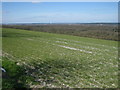 View From the Hogs Back - Facing North West