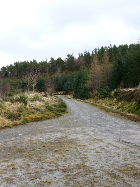 Forestry track to Culnaskeath