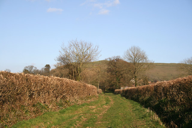 Greenway Lane