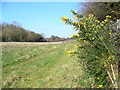 Footpath Along Former Meon Valley Railway Line