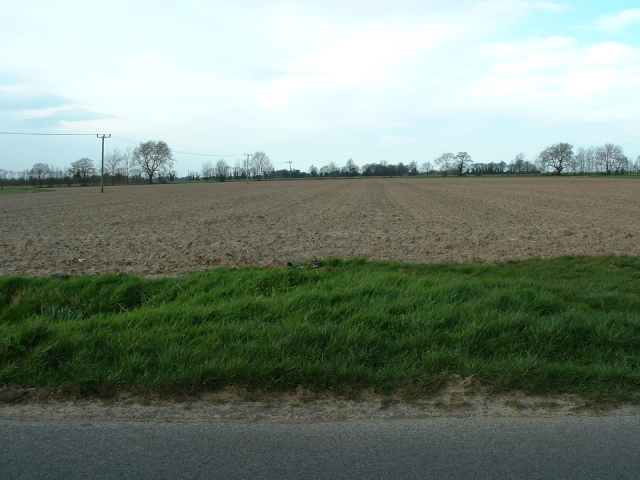 Field (with ducks) near Long Sutton