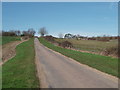 The lane to Roxhill Manor Farm