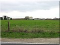 View across fields to Hillhurst Farm