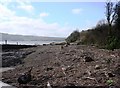 Galmpton Creek, Debris at low water, view to Dittisham