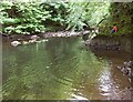 Cairn Water downstream from Dalgonar Bridge