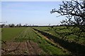 Farmland and ditch near Kenny Hill