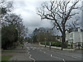 Camlet Way, Hadley Wood, Hertfordshire, looking west