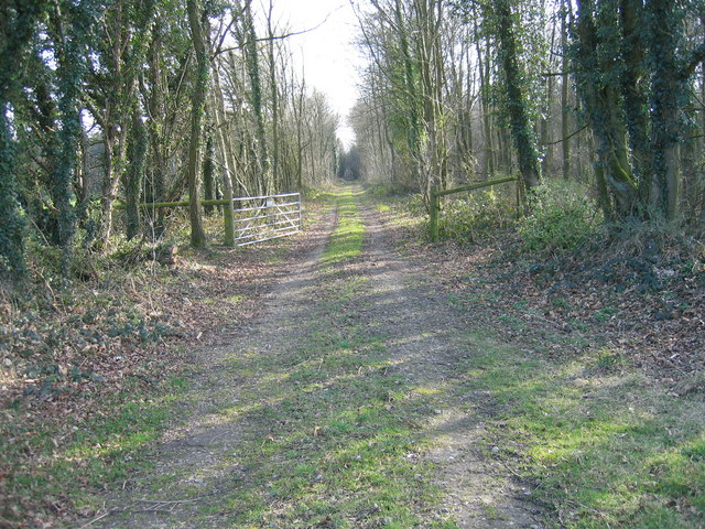 Dismantled railway line east of Cubits Farm