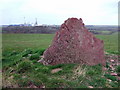 SM8907 : Liddeston "Long" Stone by Natasha Ceridwen de Chroustchoff