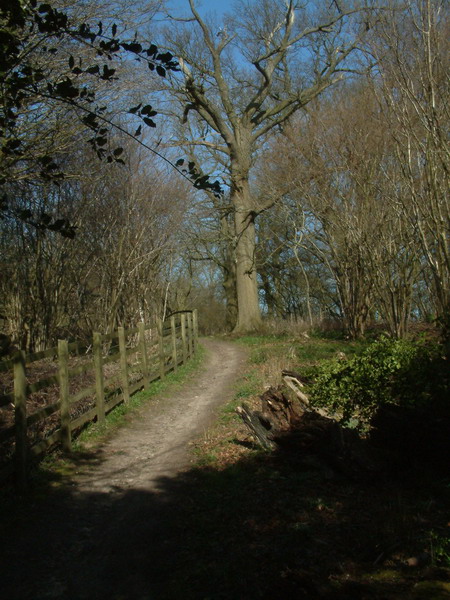 Bridleway near Round Wood