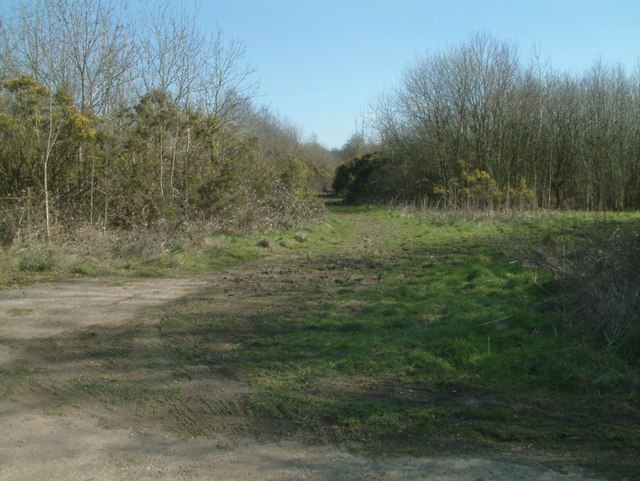 Bridleway towards Colley Hill