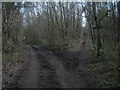 Bridleway Junction On Walton Heath