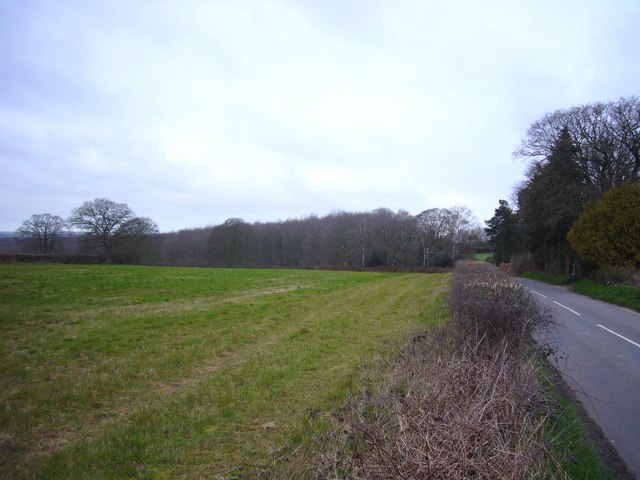 Field by Bushes Road