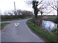 Pond beside Junction, Barnes