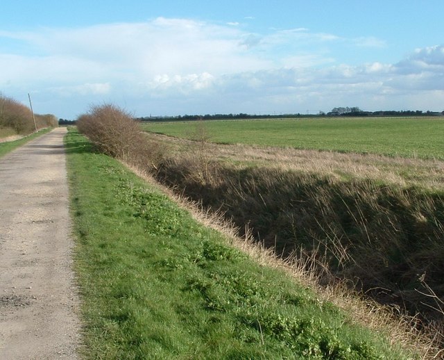 Open farmland