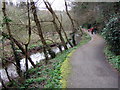 Nature trail along Hubberston Pill