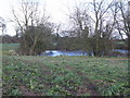 Pond in Field, Harris Green Farm