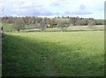 Looking down towards Grove Farm