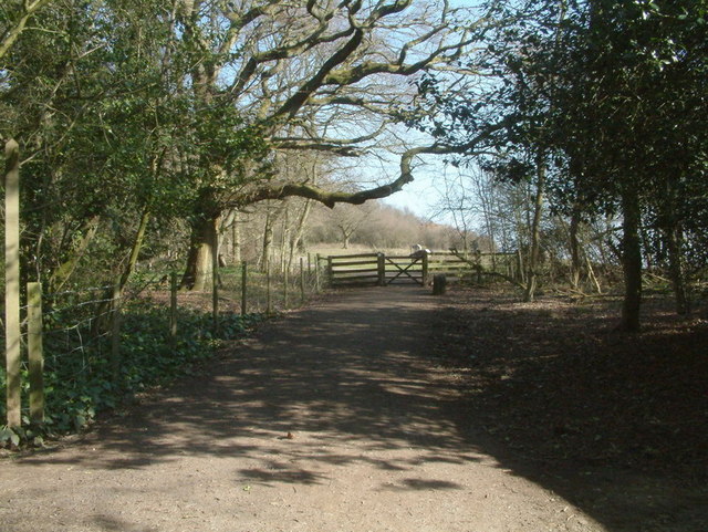 North Downs Way approach to Colley Hill