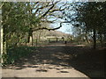 North Downs Way approach to Colley Hill