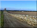 Stone-walled farm road