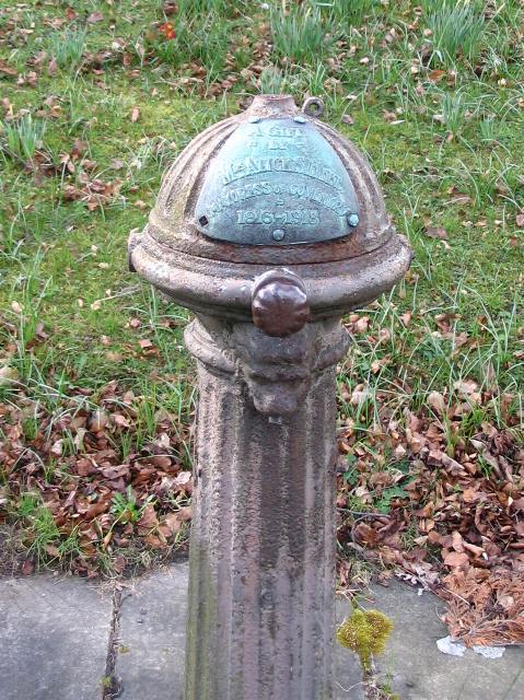 Detail of drinking fountain, Top Green