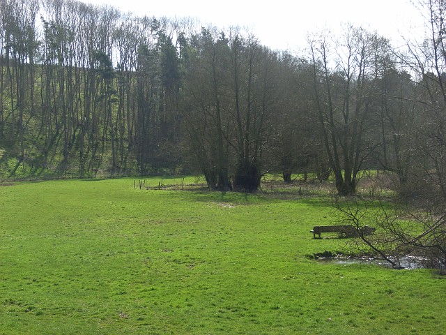 Meadow beside the River Dorn