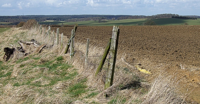 Bedfordshire countryside