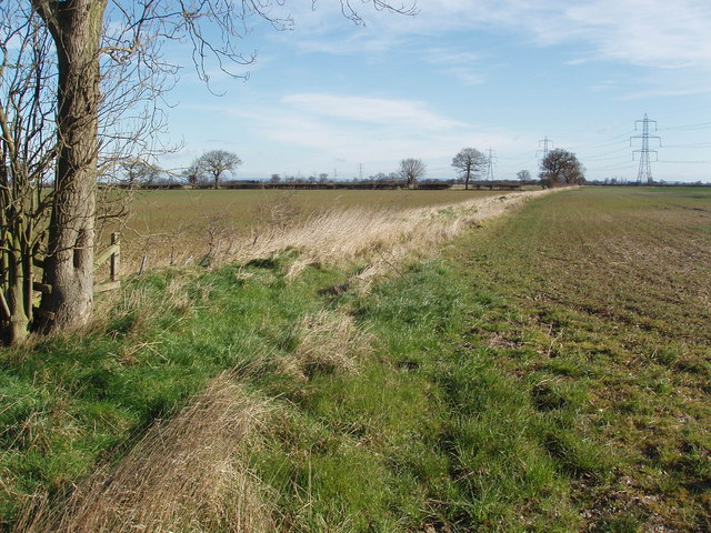 Field Boundary at Intake Farm, Wressle